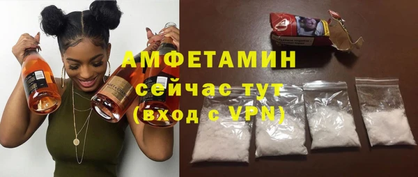 мдпв Инта