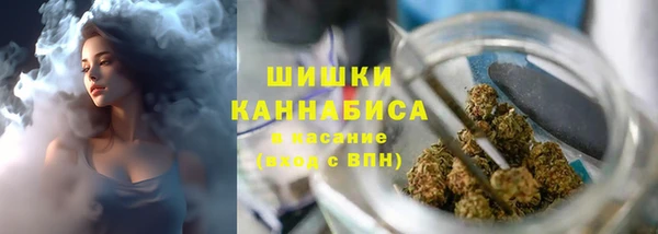 мдпв Инта