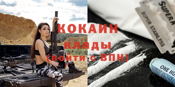 мдпв Инта