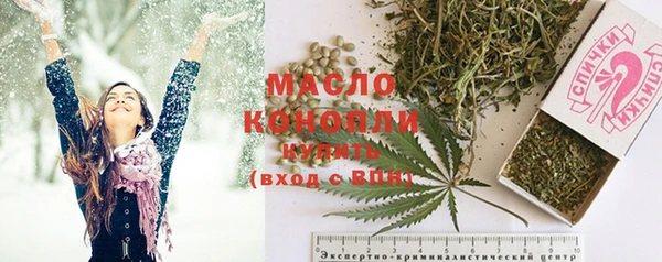 мдпв Инта