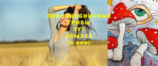 МДМА Инсар