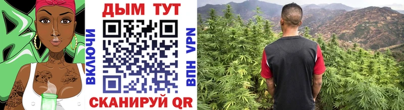 Канабис SATIVA & INDICA  Карабаново 